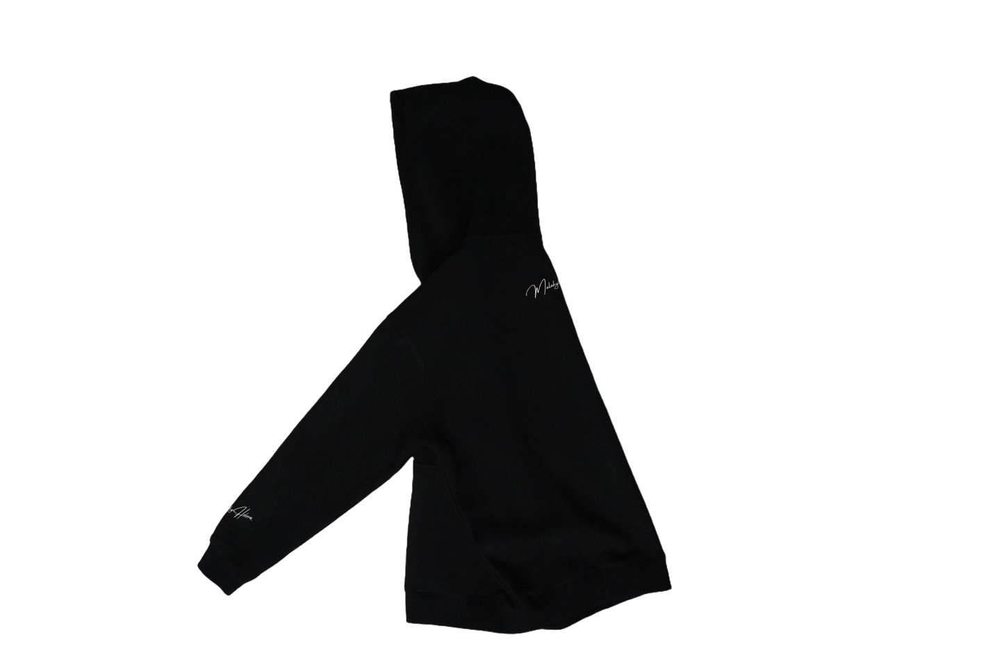 signature oversized fleece hoodie - unisex