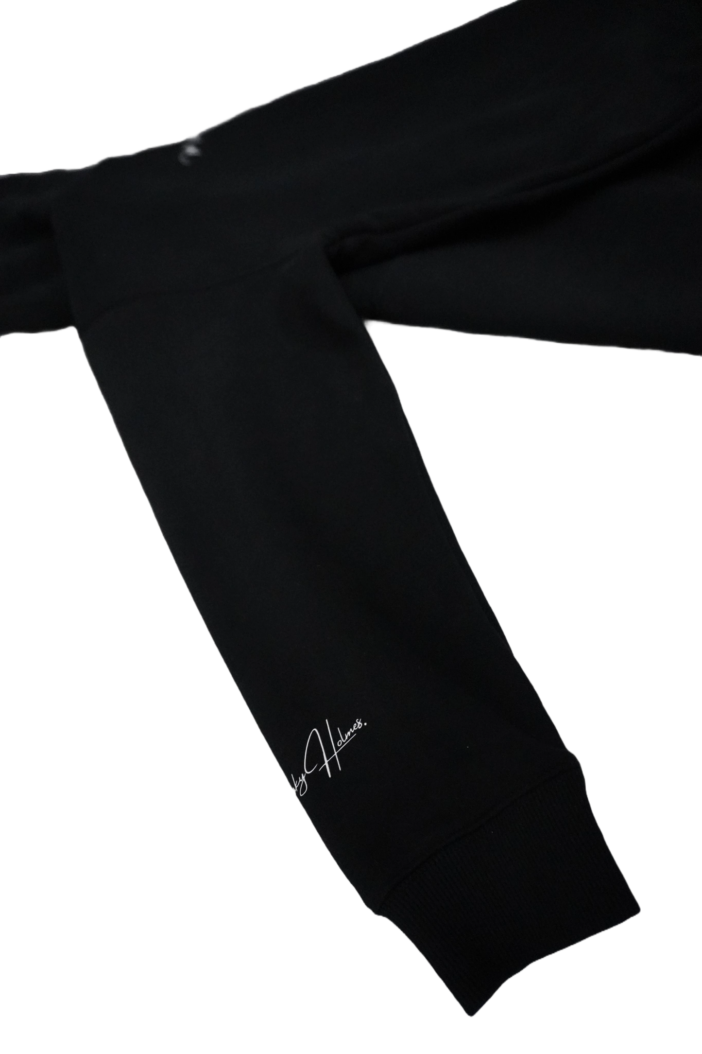 signature oversized fleece hoodie - unisex